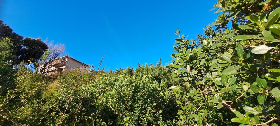 0 Bedroom Property for Sale in Upper Robberg Western Cape